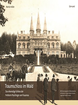 cover image of Traumschloss im Wald